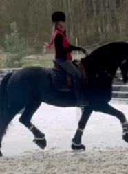 a woman riding a horse in a fenced in area