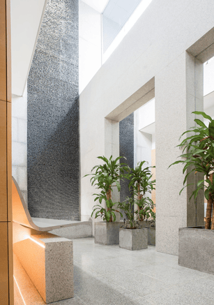 Bright and calming clinic hallway with greenery and stone walls.
