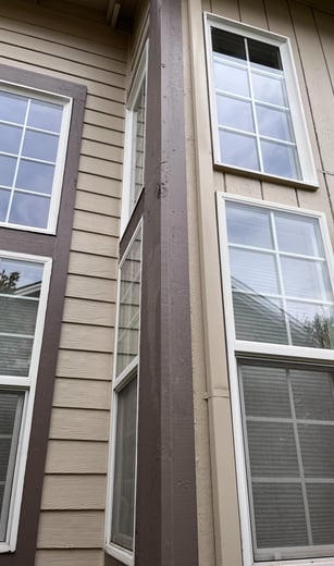 Siding Painting & windows