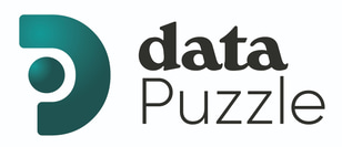 Data Puzzle logo