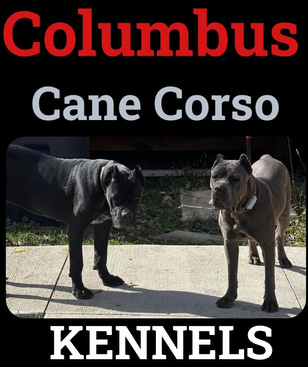 Columbus Cane Corso Kennels logo