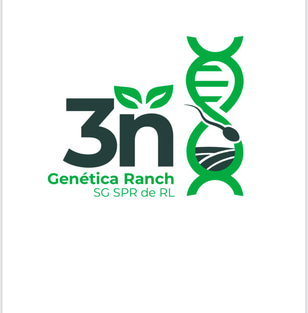 3N GENETICA logo