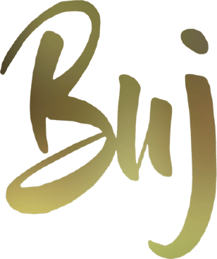 Buj Ventures logo