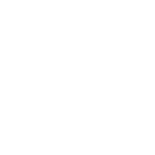 Bronze Podcast logo