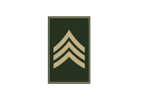Resumo Militar logo