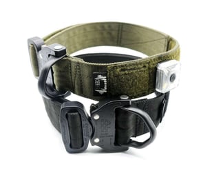 collar with MOLLE system and cobra buckle