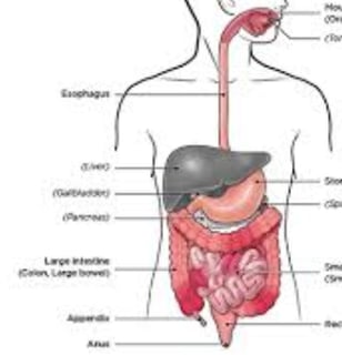 Botulism : A Serious but Preventable Disease