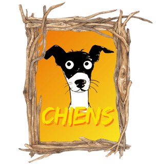 éducation canine Guadeloupe