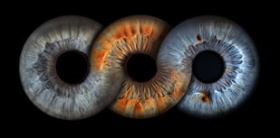 iris foto für Familie, Auge, Macroaufnahme, Geschenk