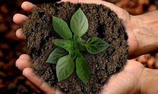 sustainability polica
