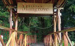 Mnagrove Discovery Tour
