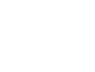 logo lmc drone