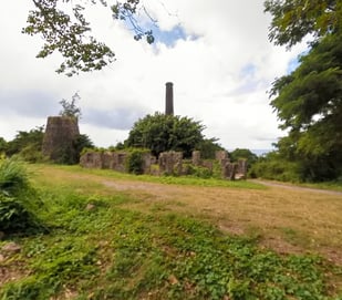 Hamilton Estate Ruins Nevis