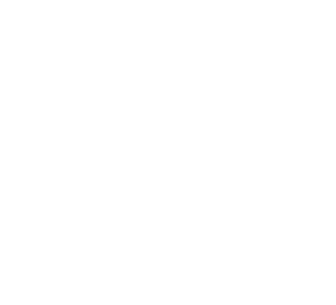 Gestión Avanzada de TIC