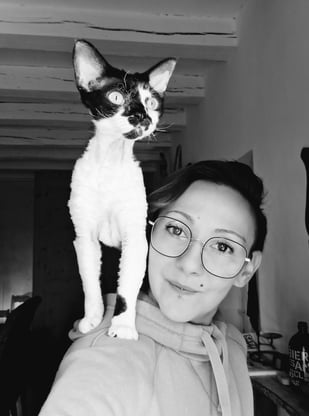 Devon Rex