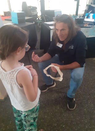 petite fille qui regarde mâchoire requin avec Alain Surina