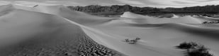 Vallée de la mort, dunes