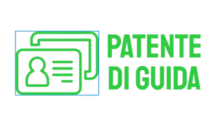 Patenteoriginale Autentico logo
