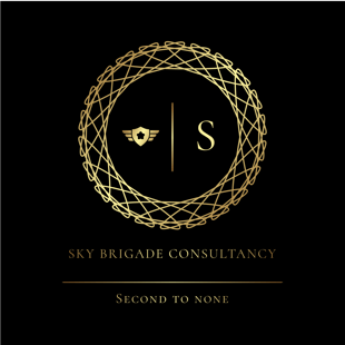 Sky Brigade Consultancy logo