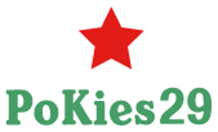 PK29 logo