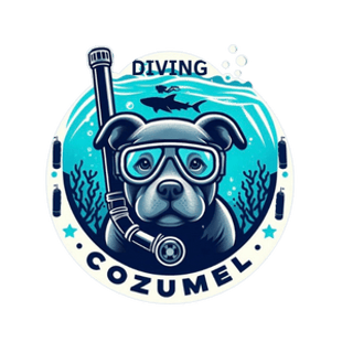 Diving Cozumel logo