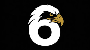 Seis Aguilas Freight Enterprises, Corp logo