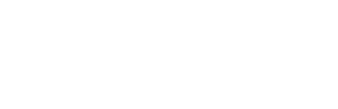 NOT2FAST logo