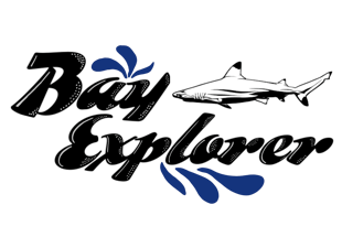 Bay Explorer logo