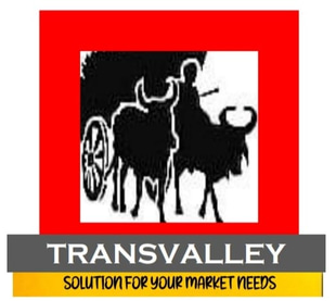 Transvalley logo