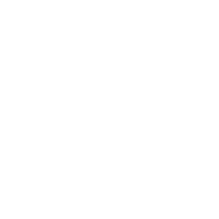 MES LAW&CONSULTING logo