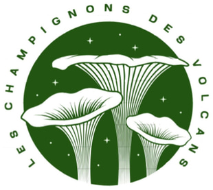 Les Champignons des Volcans logo