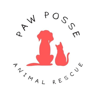 Animal Rescue logo