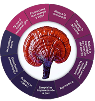 Ganoderma Cucuta logo