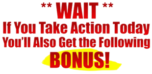 Go Beaver AI Review Bonuses