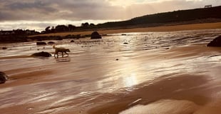Late afternoon god walk on the beach