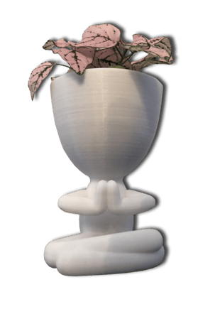 Pots de fleurs modernes