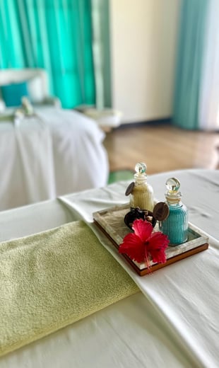 ozen reserve bolifushi spa room