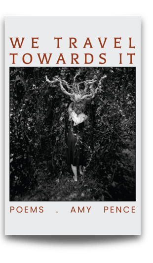 We Travel Towards It Amy Pence