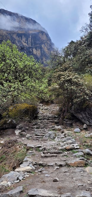 Himalayas, Gosaikunda, Langtang, trekking in nepal, living in nepal, Nepal, Langtang Valley, trek