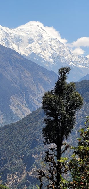 Himalayas, Gosaikunda, Langtang, trekking in nepal, living in nepal, Nepal, Langtang Valley, trek