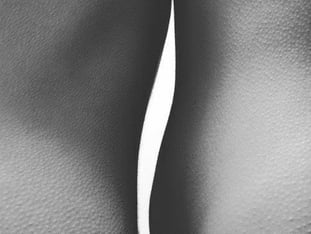 two skin bodies with empty space