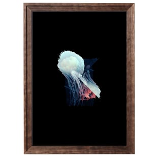 digital art, visual art, digital paintings, Joanna Wlaszyn