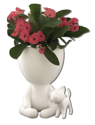 Pots de fleurs blanc