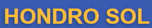 HondroSol logo