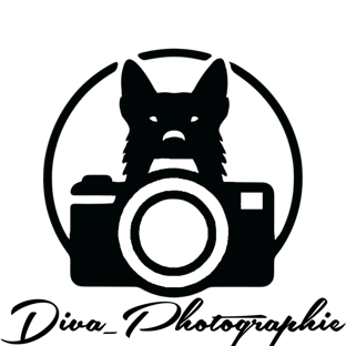 Diva Photographie logo