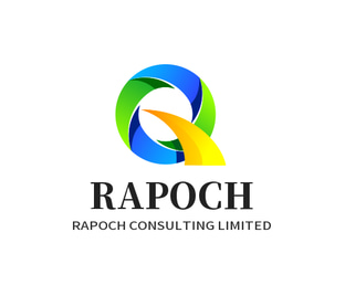 rapochconsulting.shop logo