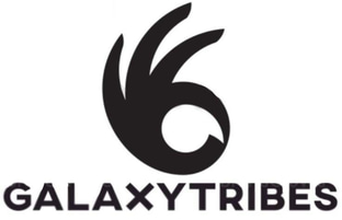 GalaxyTribes logo