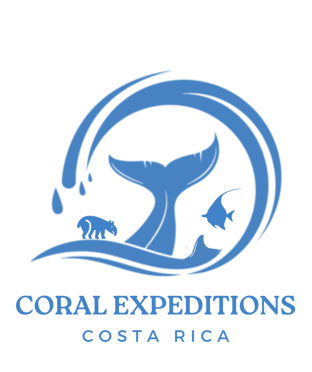 Coral Expeditions Costa Rica logo