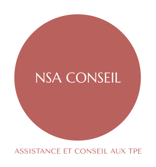 NSA CONSEIL logo