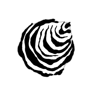 SPIRALIS is an out-of-the-box creative agency implementing graphic design projects,specializing in creating visual identity for brands, institutions, companies and products. Our graphic design offer includes: corporate identity, logo designs,graphic designs for books and press publications, poster designs, calendar designsadvertising, packaging designs, labels, etc. logo